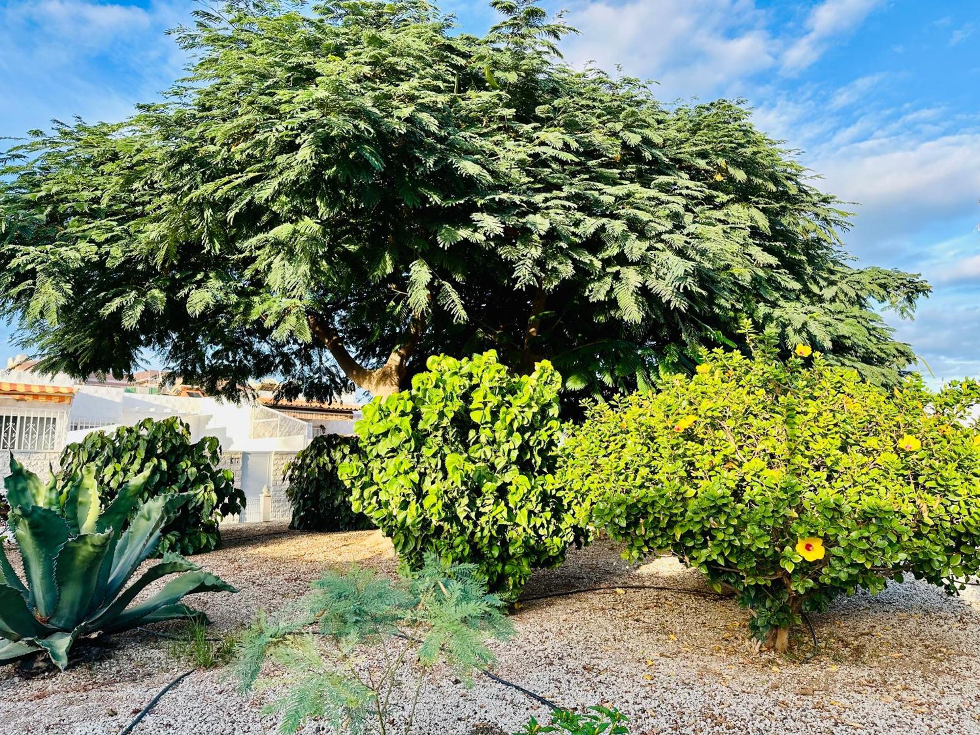 Casa Una Bungalow Delux Arona  Eksteriør bilde
